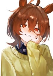 Post 5575658