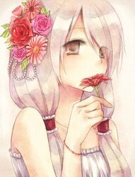 Post 1342591