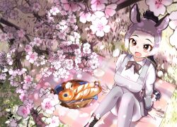 Post 5701588