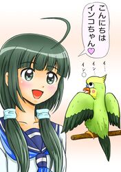 Post 130656