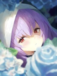 Post 6400571