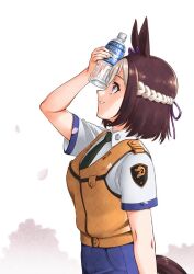 Post 6400462