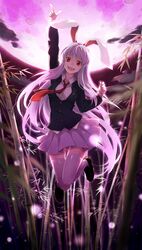Post 1397513