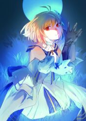 Post 6924616
