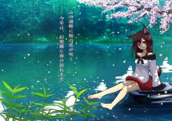 Post 1413550