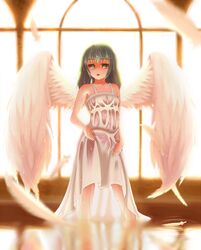 Post 1435512