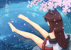 Post 1442202