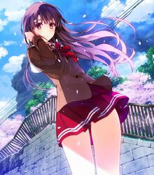 Post 1456091