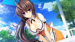 Post 1483045