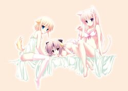 Post 1495123