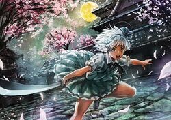 Post 1510074