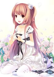 Post 144321