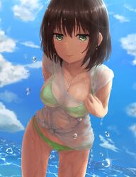 Post 1519809