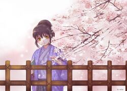 Post 1534149