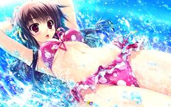 Post 1536624
