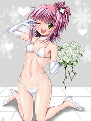 Post 1546961