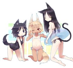 Post 1556241