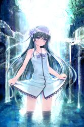 Post 1566685