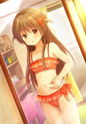Post 1572515