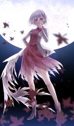 Post 1572708