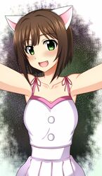 Post 1584492