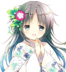 Post 1586751