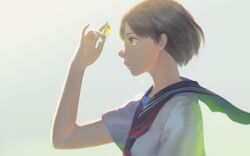 Post 1605649
