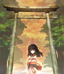 Post 154023