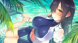 Post 1623306