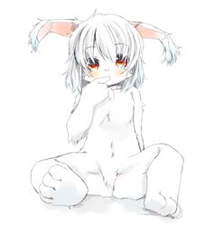 Post 1625787