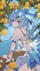 Post 5897427