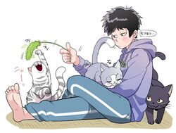 Post 1636993