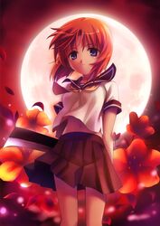 Post 1637826