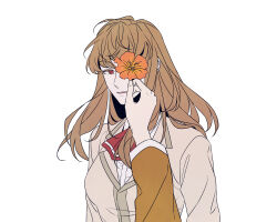 Post 6084936