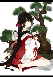 Post 1646293