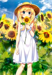 Post 1680445