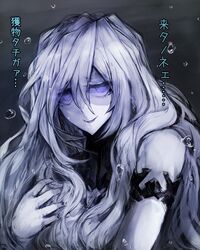 Post 1682564