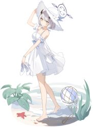 Post 6987071