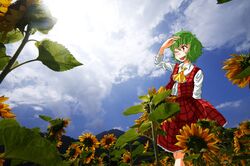 Post 1687416