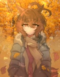 Post 7128434