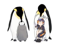 Post 7129239