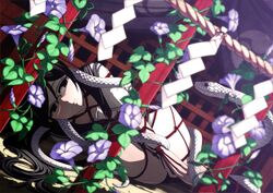 Post 1697733