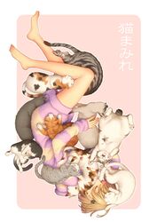Post 1702372