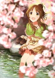 Post 1705843