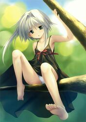 Post 162855