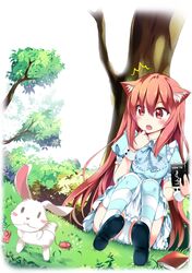 Post 1711786