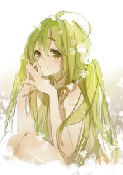 Post 1715521