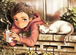Post 1716474
