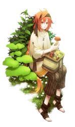 Post 1719234