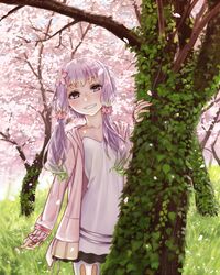 Post 1740550